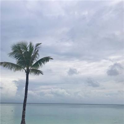 4399造梦西游ol版下载